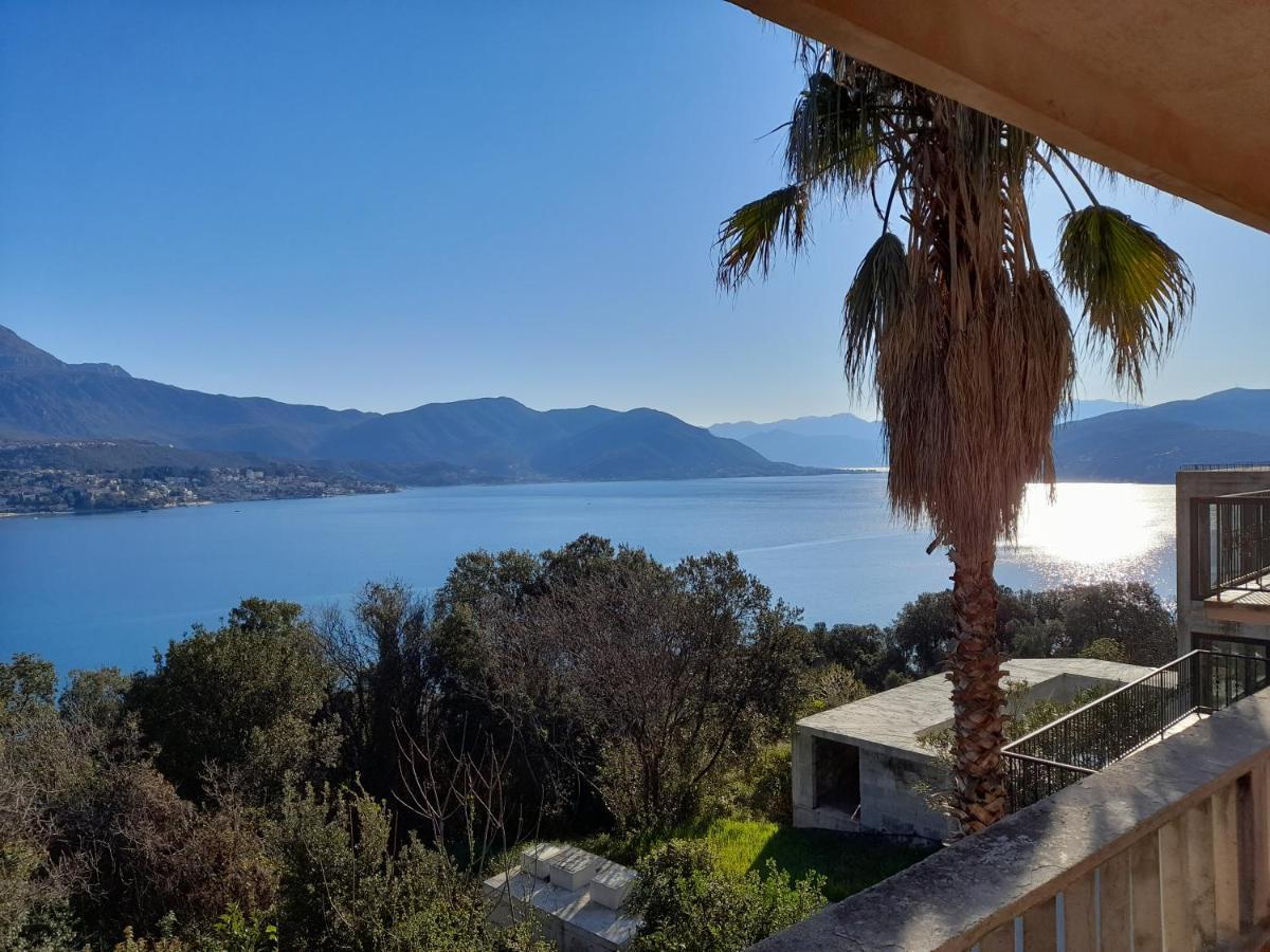 Villa Garden Apartments Herceg Novi Esterno foto