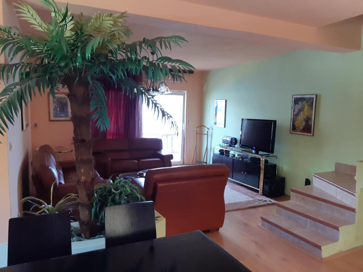 Villa Garden Apartments Herceg Novi Esterno foto
