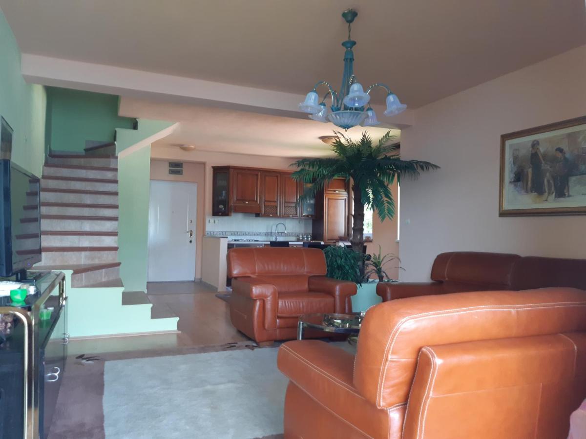 Villa Garden Apartments Herceg Novi Esterno foto