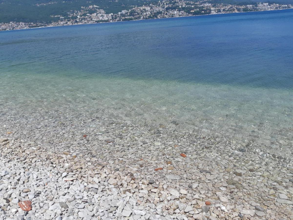 Villa Garden Apartments Herceg Novi Esterno foto