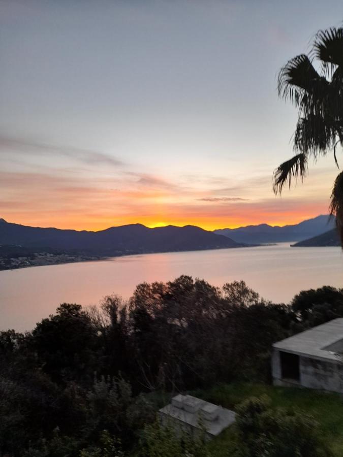 Villa Garden Apartments Herceg Novi Esterno foto